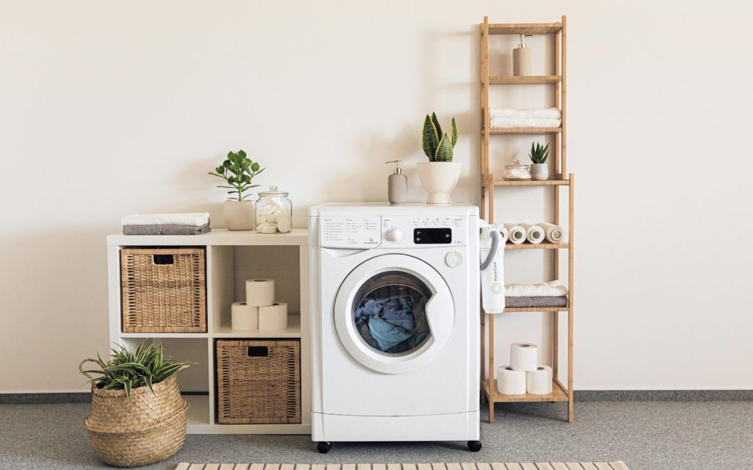 La Pince à linge